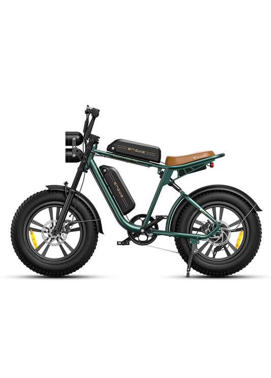 ENGWE M20