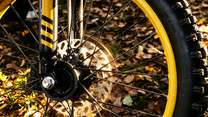 EM22-6 Acorn Moto